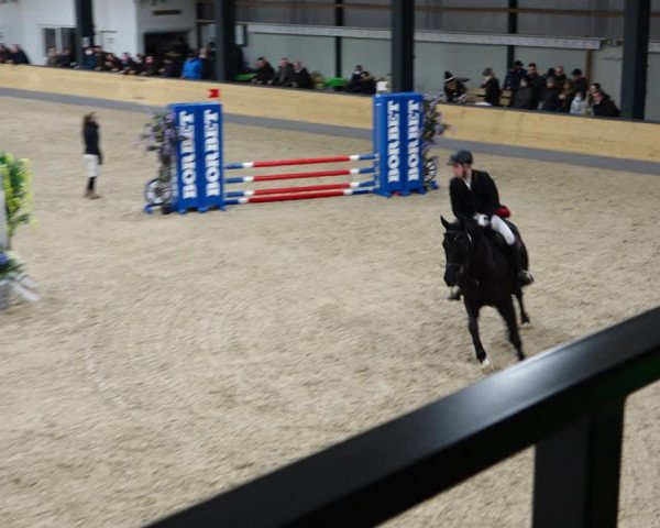 Reitturnier Borken 2022