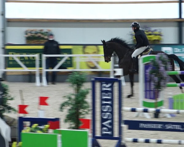 Reitturnier Borken 2022