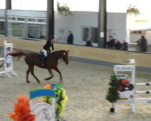 Reitturnier Borken 2022