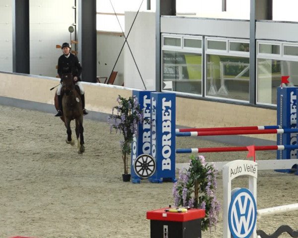 Reitturnier Borken 2022