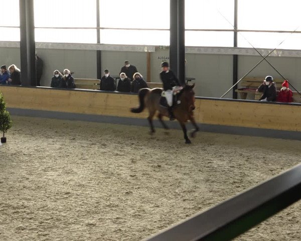 Reitturnier Borken 2022