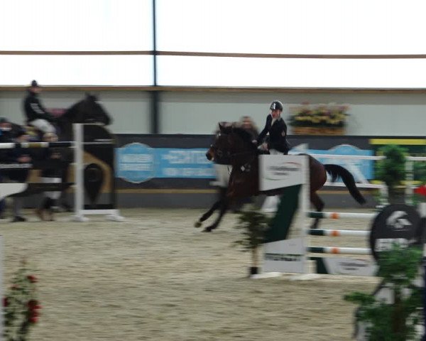 Reitturnier Borken 2022