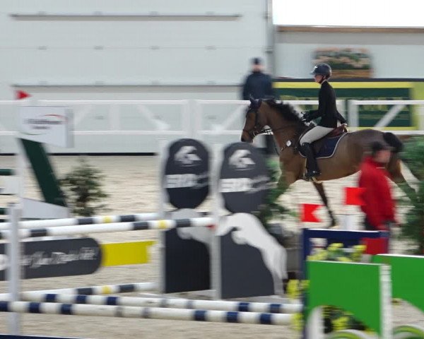 Reitturnier Borken 2022