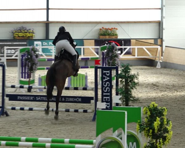 Reitturnier Borken 2022