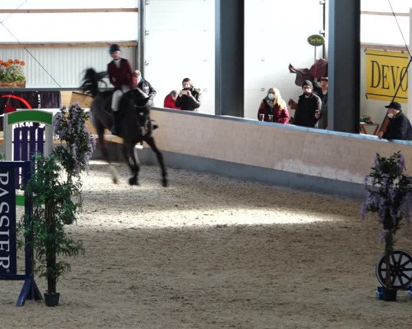 Reitturnier Borken 2022