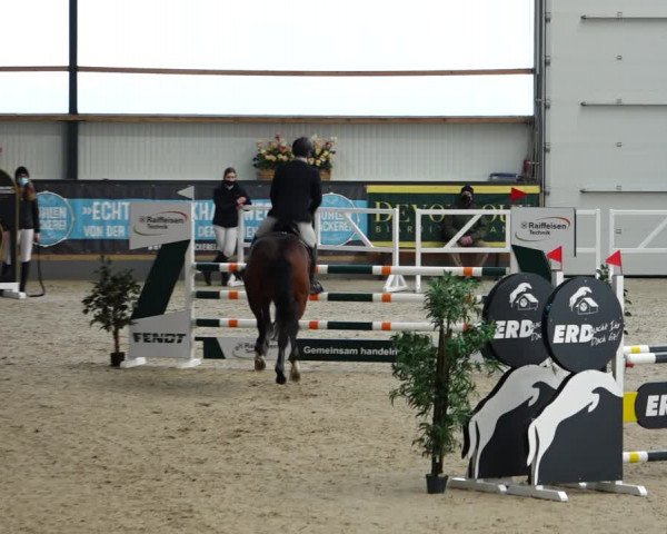 Reitturnier Borken 2022
