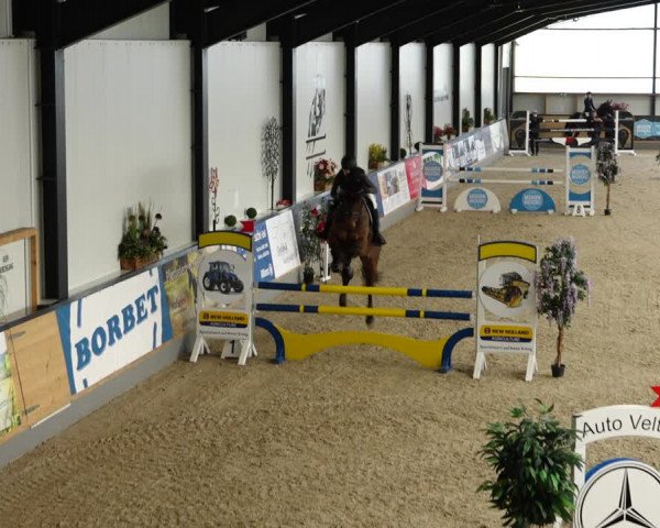 Reitturnier Borken 2022