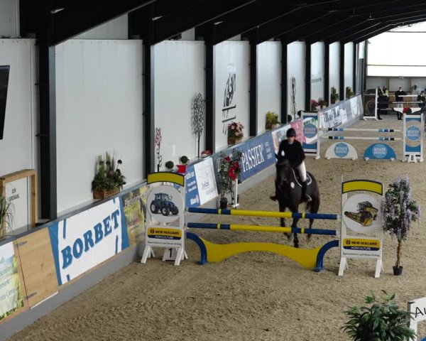 Reitturnier Borken 2022