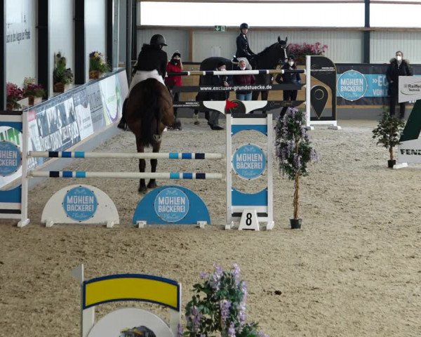 Reitturnier Borken 2022