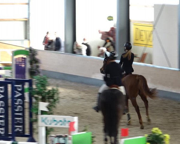 Reitturnier Borken 2022