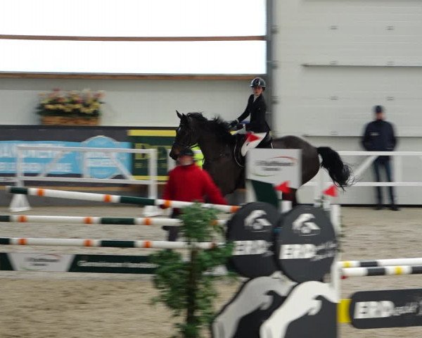 Reitturnier Borken 2022
