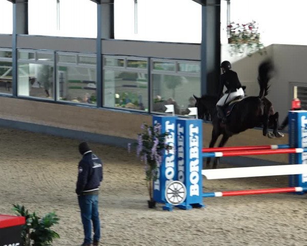 Reitturnier Borken 2022