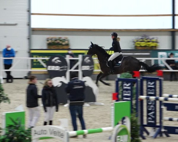 Reitturnier Borken 2022
