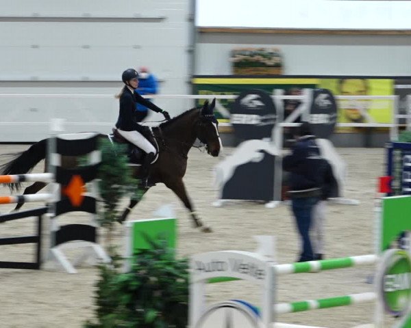 Reitturnier Borken 2022