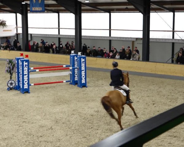 Reitturnier Borken 2022