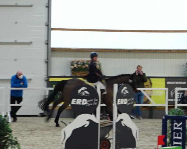 Reitturnier Borken 2022