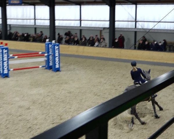 Reitturnier Borken 2022