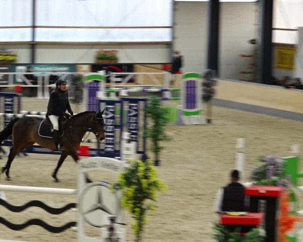 Reitturnier Borken 2022