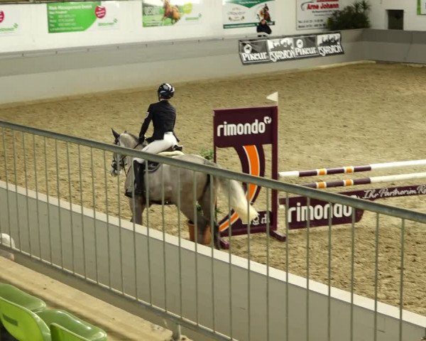 Reitturnier Luhmühlen 2022