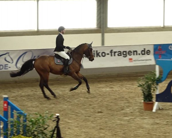 Reitturnier Luhmühlen 2022