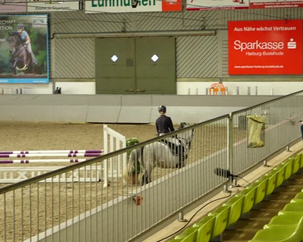 Reitturnier Luhmühlen 2022