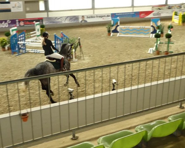 Reitturnier Luhmühlen 2022