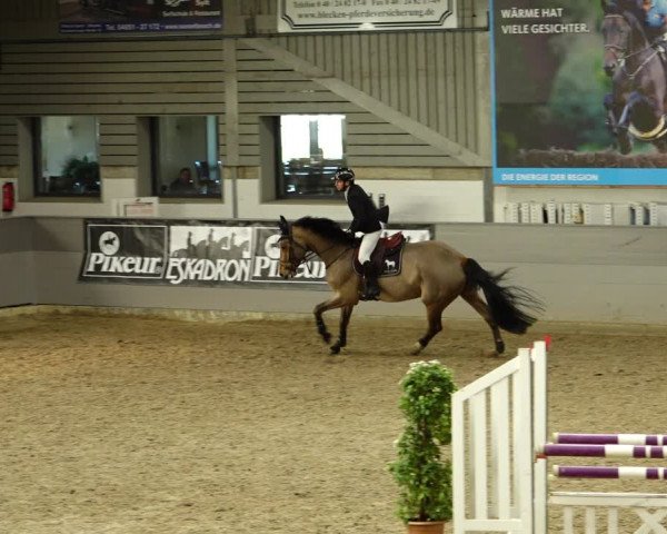 Reitturnier Luhmühlen 2022
