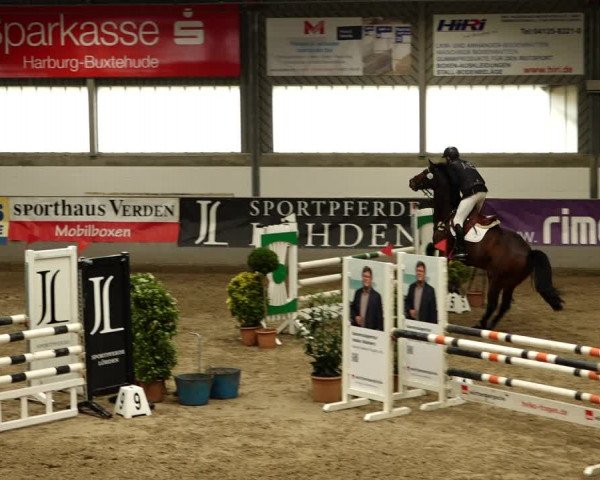 Reitturnier Luhmühlen 2022