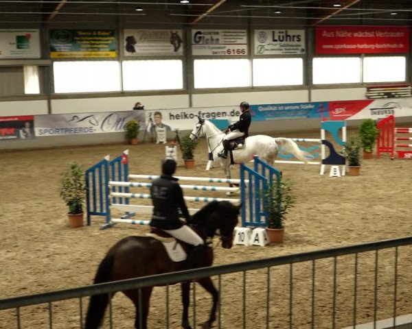 Reitturnier Luhmühlen 2022