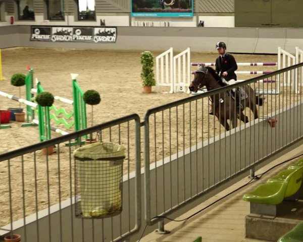 Reitturnier Luhmühlen 2022