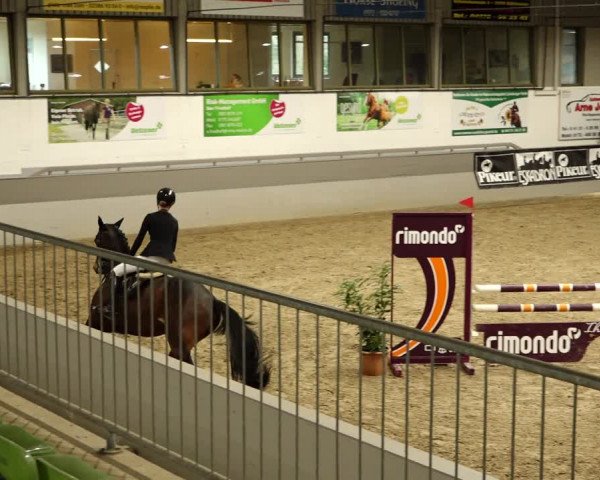 Reitturnier Luhmühlen 2022