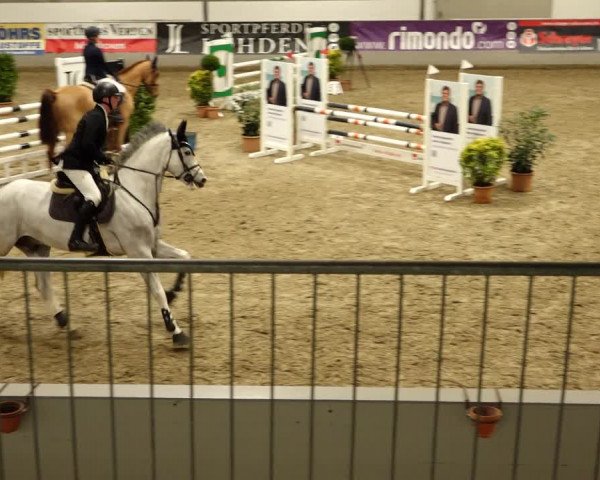 Reitturnier Luhmühlen 2022