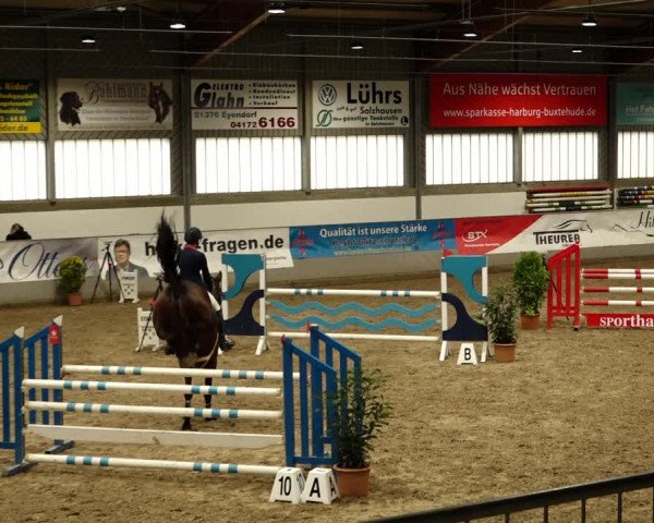 Reitturnier Luhmühlen 2022