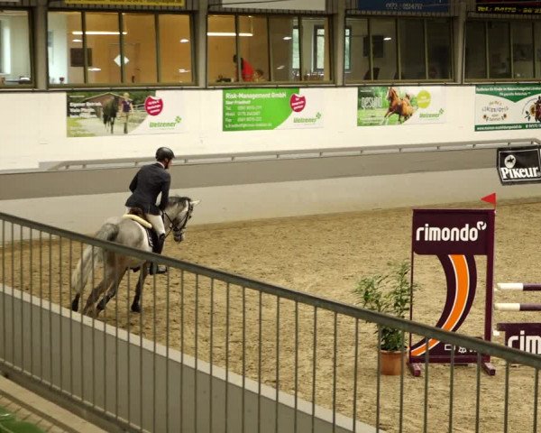 Reitturnier Luhmühlen 2022