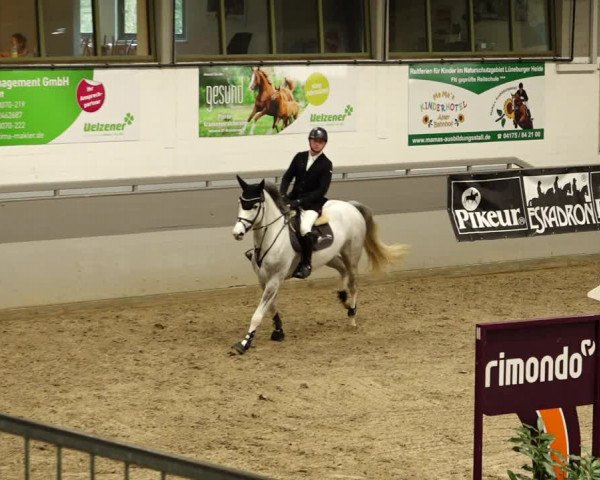 Reitturnier Luhmühlen 2022