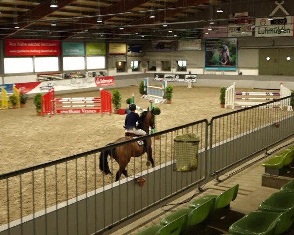 Reitturnier Luhmühlen 2022