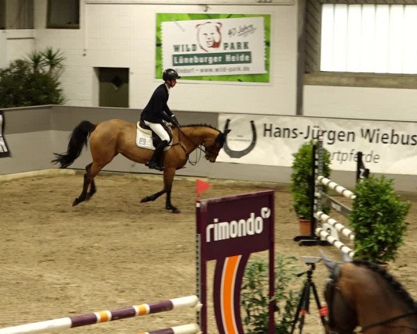 Reitturnier Luhmühlen 2022