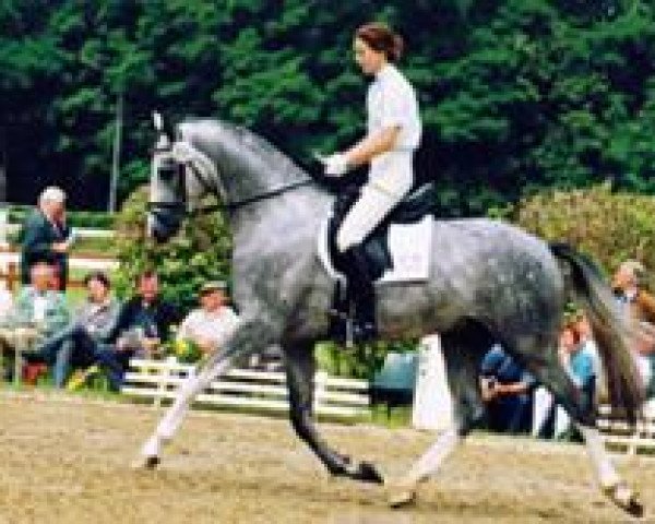 horse Peach Pit (Hanoverian, 1997, from Polarpunkt)