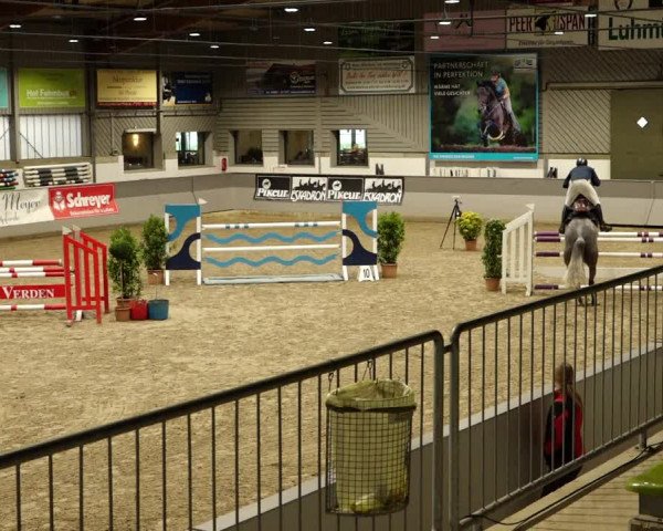 Reitturnier Luhmühlen 2022