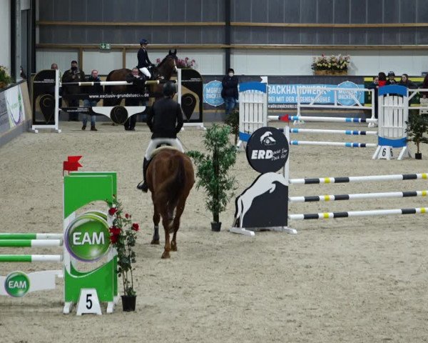 Reitturnier Borken 2022