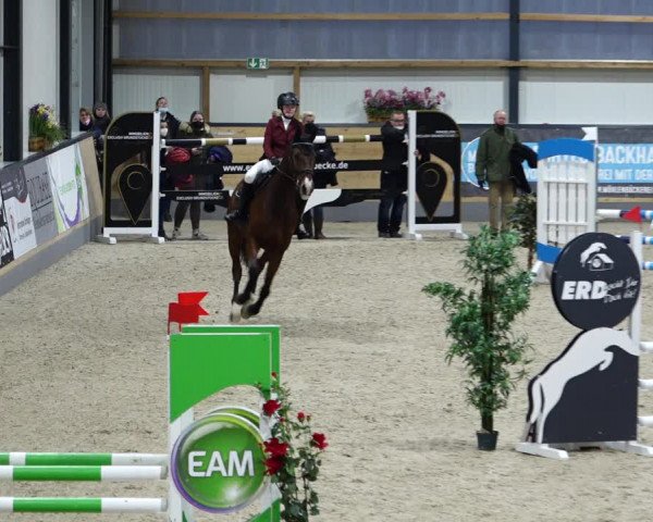 Reitturnier Borken 2022