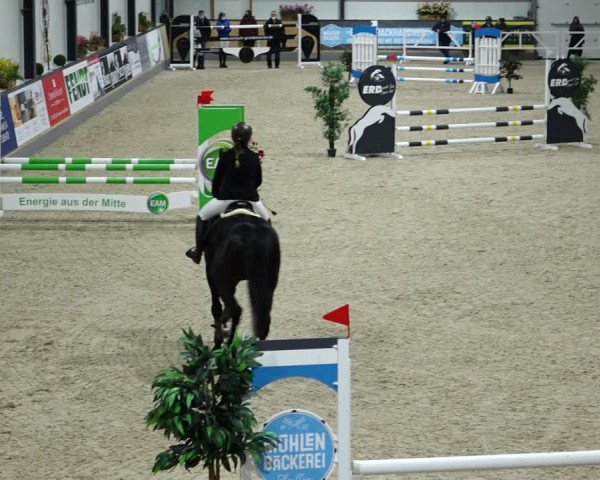 Reitturnier Borken 2022