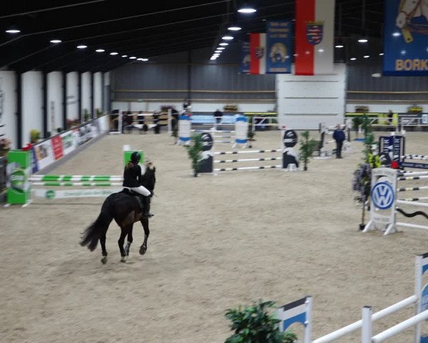 Reitturnier Borken 2022