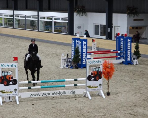 Reitturnier Borken 2022