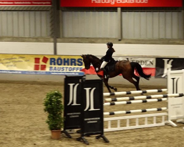 Reitturnier Luhmühlen 2022