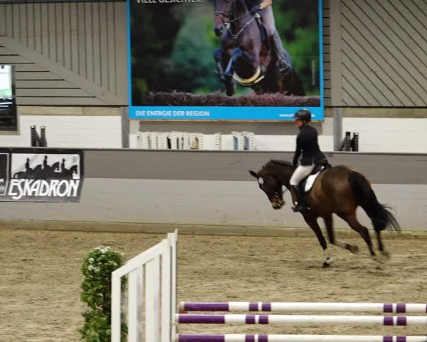Reitturnier Luhmühlen 2022