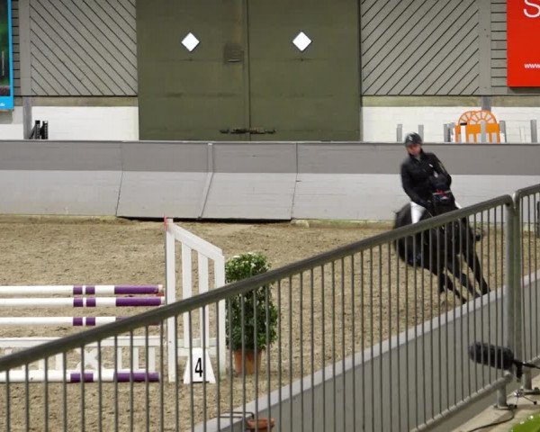 Reitturnier Luhmühlen 2022