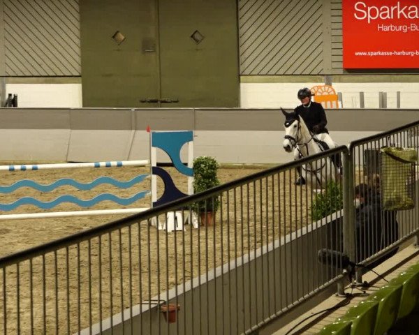 Reitturnier Luhmühlen 2022