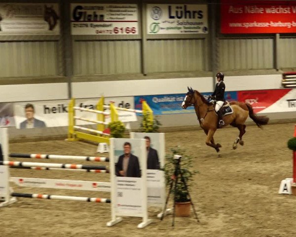 Reitturnier Luhmühlen 2022