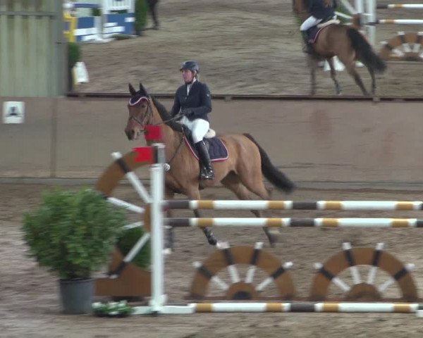 Reitturnier Bonn - Gut Ettenhausen 2017